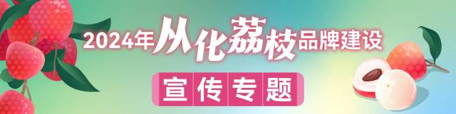 颜值、味道很给“荔”！2024款从化荔枝月饼上市