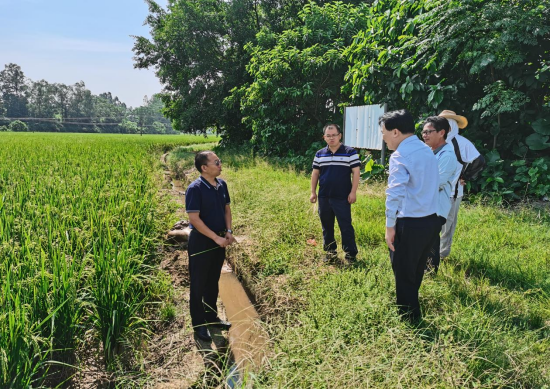 防风督导组下沉一线指导。
