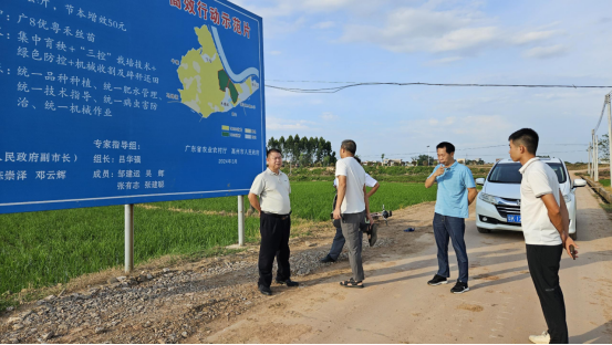 组织技术人员深入水稻示范片，指导农民做好防灾减灾工作。