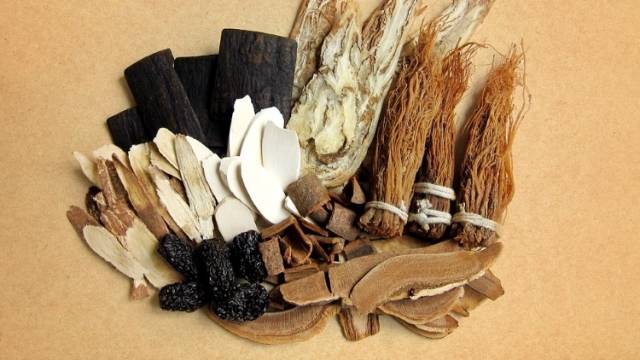 在+探科｜在治未病科，机器人也能诊断“未病”？