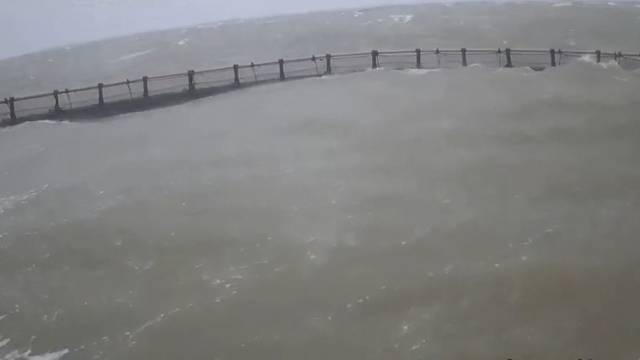 台风还没停，360万元赔款已到账！“摩羯”首单现代化海洋牧场保险出险