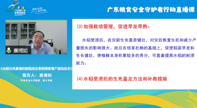 9月7日，主办方举办广东粮食安全守护者行动线上直播课，本次行动指导专家，华南农业大学教授、博士生导师唐湘如讲解水稻台风暴雨防御指南。