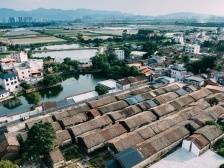 仲恺高新区赤岗村：五百年古村孕育新生机