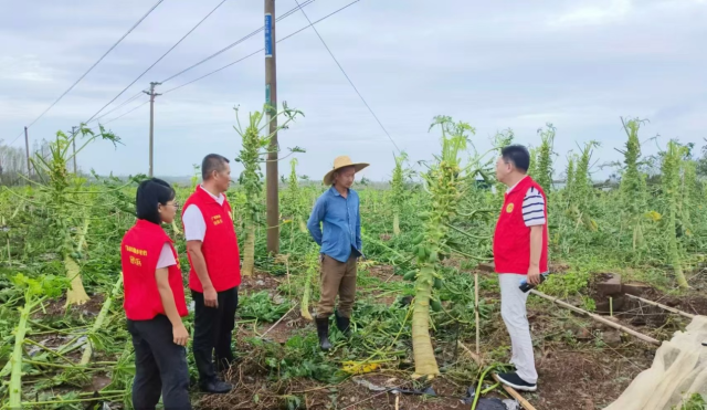 救灾复产刻不容缓！“轻骑兵”快马加鞭驰援灾区