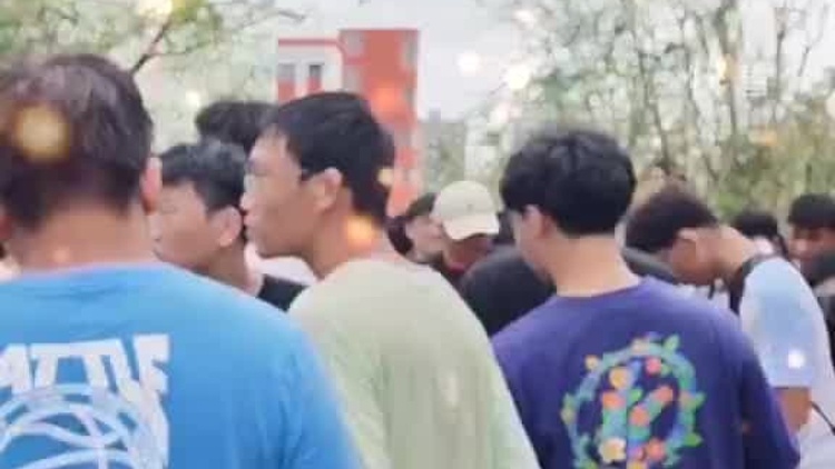 默契！摩羯吹倒校园大树大学生合力抬树