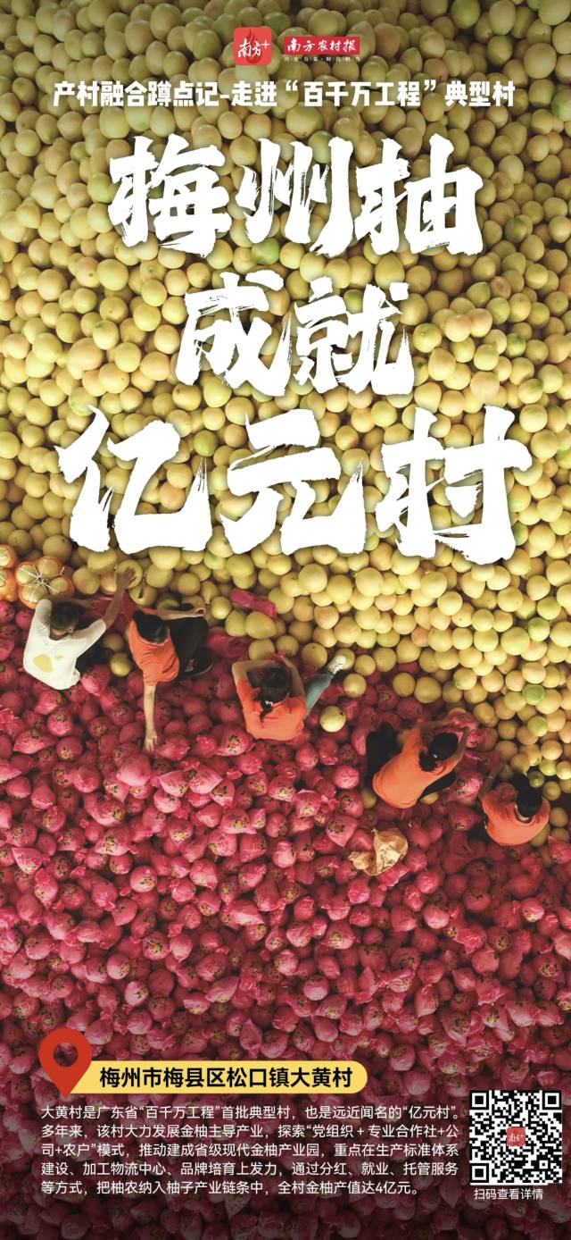 南方农村报 王富迪 拍摄
