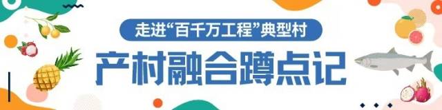 梅县大黄村：5000亩梅州柚成就亿元村｜产村融合蹲点记③