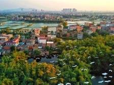 家在九江⑳｜此心安处是吾乡