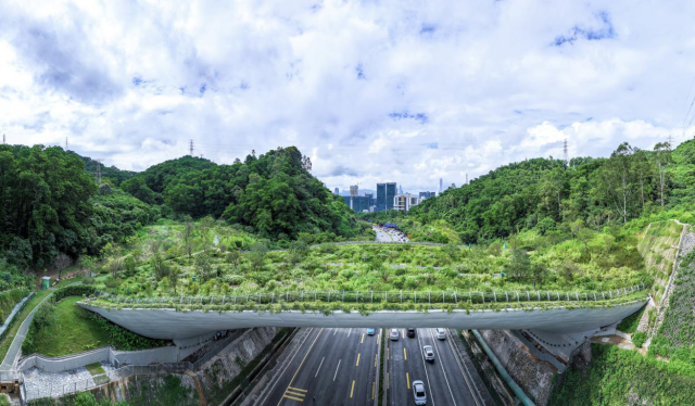 通山达海贯城串趣！“山海连城 绿美深圳”调研首站——福田
