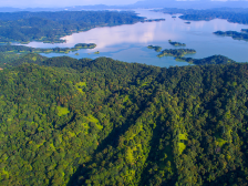 权威访谈｜胡建斌：统筹保障发展与保护资源，支撑广东现代化建设