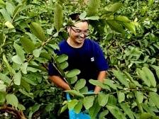 兴宁市坭陂镇：新农人拓宽兴农路，共绘“百千万工程”新画卷