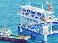 海上“生绿电” 水下“鱼满仓”