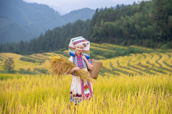 何少敏同样艰深在田间地头里拍摄短视频。