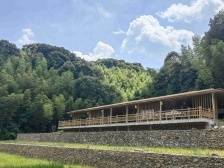 创新体制机制，构建竹产业全产业链体系 | 绿美和平 点“竹”成金②