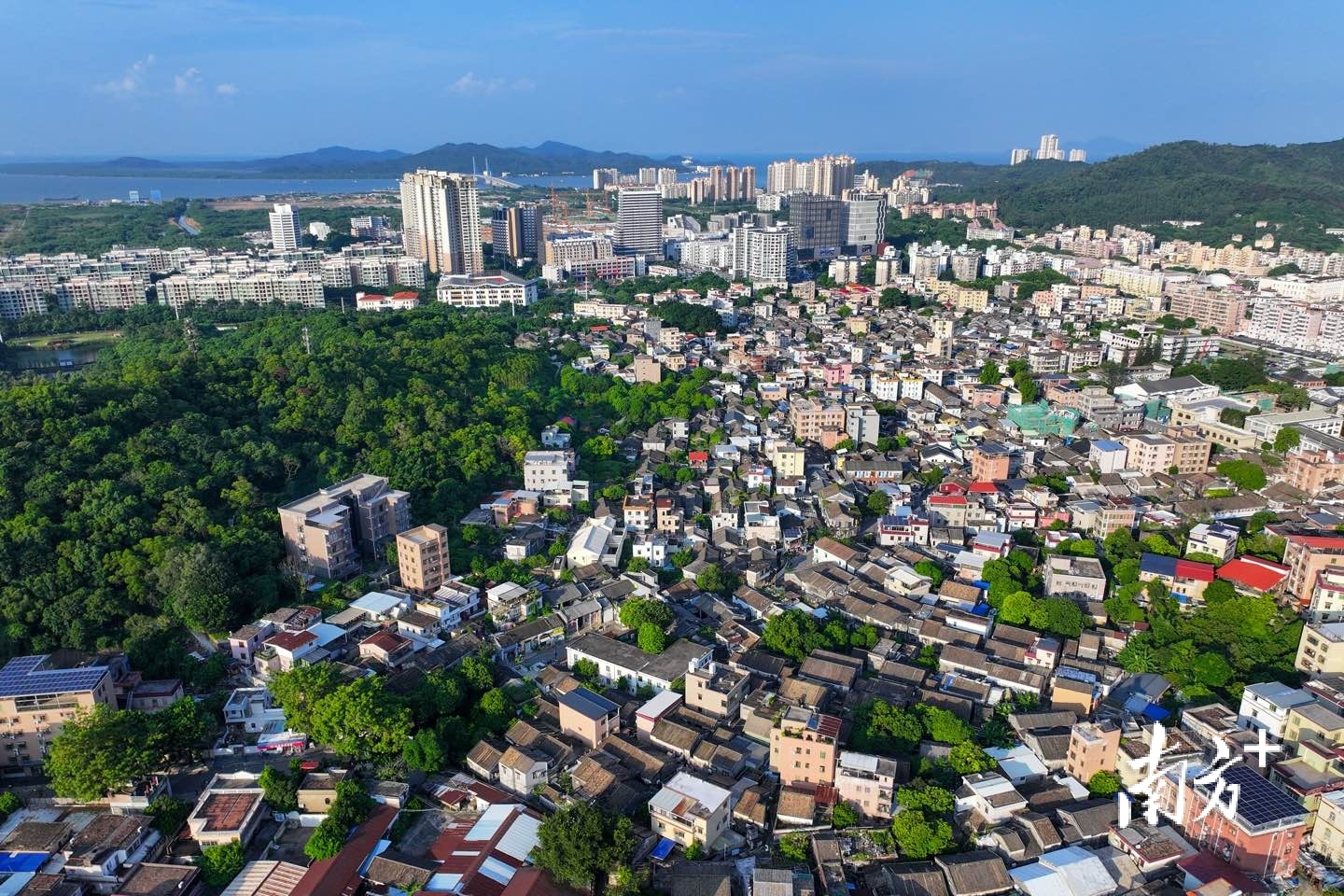 古村与共乐园依山面海,有“岭南植物园”之称。 古村与共乐园依山面海,有“岭南植物园”之称。