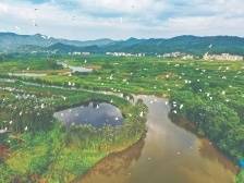 绿美广东竞风华！郁南将代表云浮出战