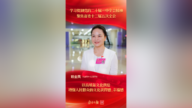 赖金凤:以高质量文化供给增强人民群众的文化获得感、幸福感