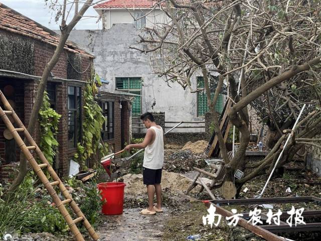 杨晓站在刚盘下来的小院里，清理台风后遗留的垃圾。