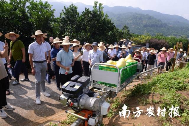 自走式单轨山地果园运输机是一众农机中的明星产物