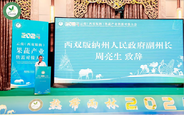 西双版纳州人民政府副州长周亮生。