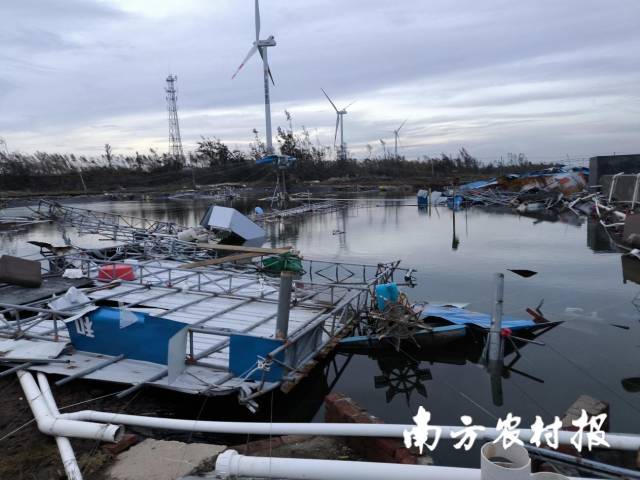 在林庆陆的养殖基地，所有设备设施都已经被风刮走或是破损。 