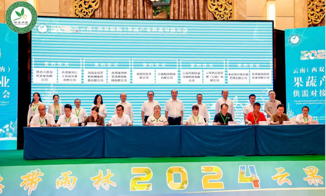 2024年云南(西双版纳）果蔬产业供需对接大会签约现场。