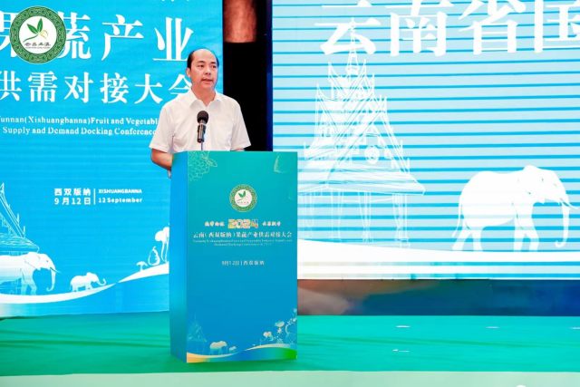 云南省贸促会会长刘琪琳。