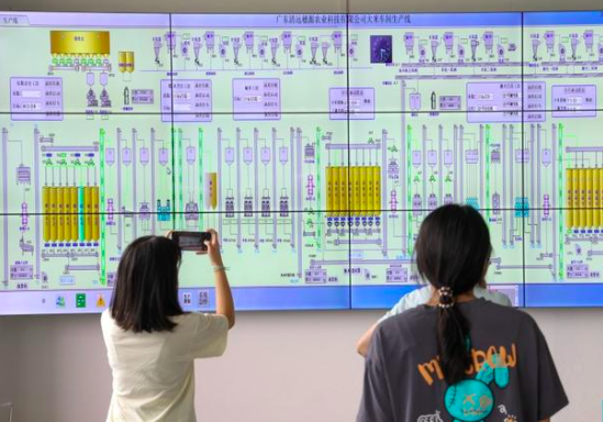 穗源现代化丝苗米智能加工中心的生产车间配备智能生产系统，通过中央控制系统画面可以详细监督整个大米加工过程。