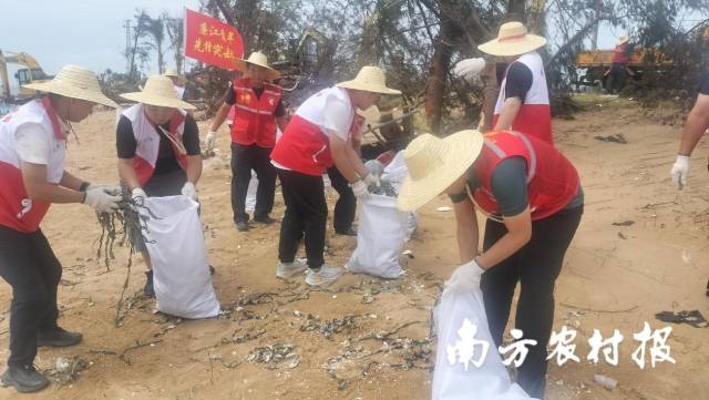 南方农村报 陈静 拍摄