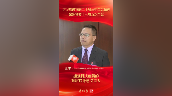 王丰:加强科技创新的顶层设计意义重大