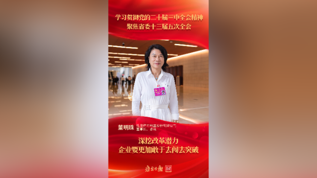 董明珠:深挖改革潜力,企业要更加敢于去闯去突破