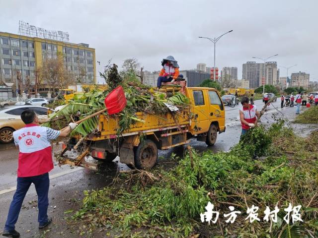 早在9月8日，廉江市委、市政府就组织人员支援徐闻完成道路清障等工作。