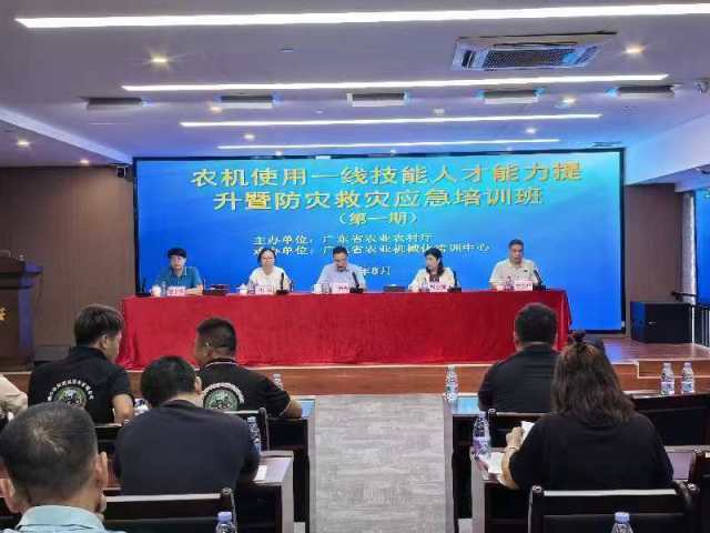 猫旅馆物语对战模式制胜秘诀大公开 新手必看高效提升战力技巧指南