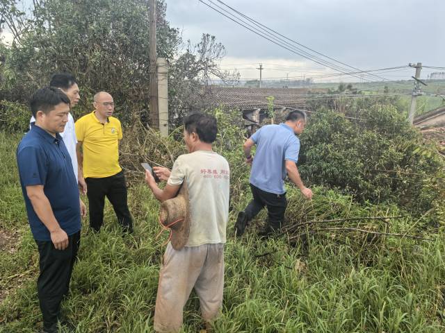 上古王冠黑骑士深渊魔典搭配指南与实战阵容全解析