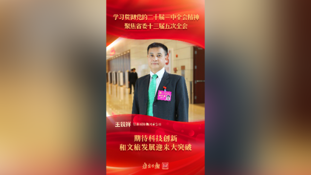 王锐祥:期待科技创新和文旅发展迎来大突破