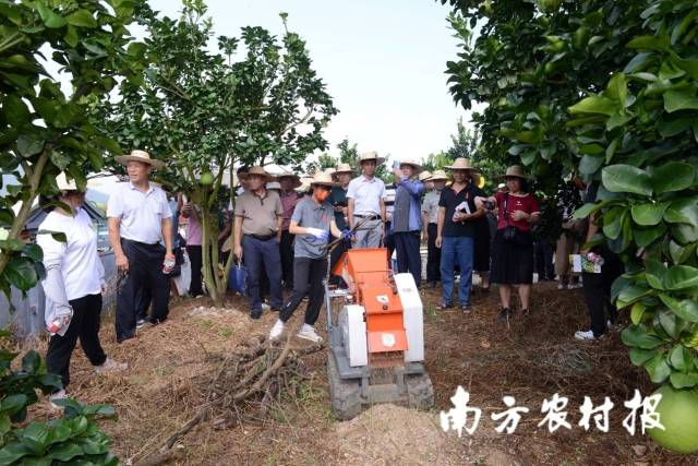 手扶履带式枝条破碎捣毁机