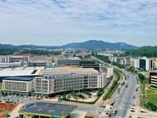 特别报道｜丰顺县：融出新“丰”彩 绘就新“顺”景