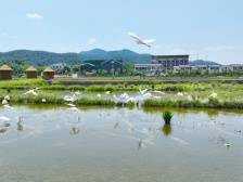 特别报道｜蕉岭县：勇立潮头敢为先 奋楫扬帆谋新篇