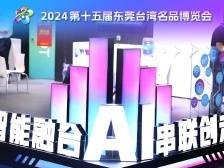 系列海报回顾2024东莞台博会亮点成效