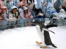 正佳中秋上新！五大场馆节日限定活动全新升级