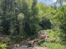 打造高效丰产竹林，让竹山变金山银山 | 绿美和平 点“竹”成金③