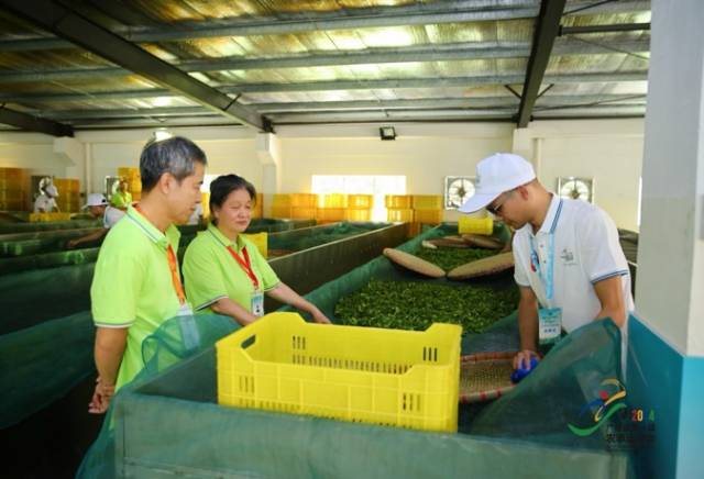 裁判专家正在监考。