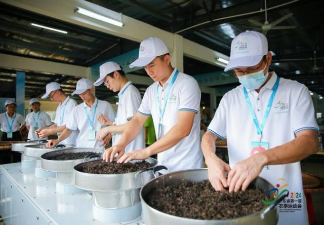 选手们正在进行茶叶烘干环节。&nbsp;