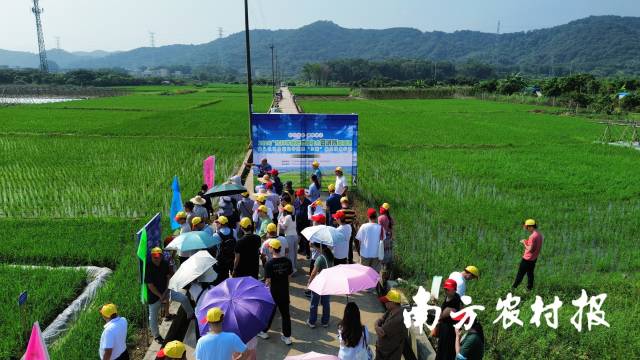 田讲所直播现场