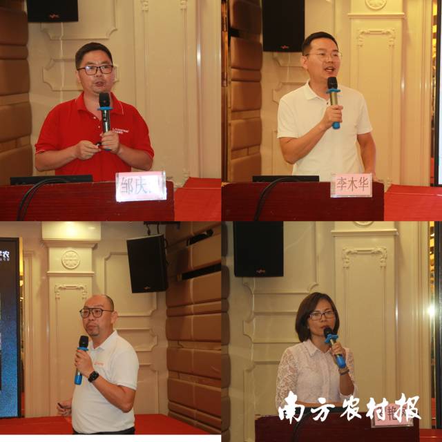 邹庆圆（左上）、李木华（右上）、王明明（左下）、罗艳凤（右下）