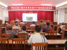 专家上门传经送宝，助力通门百香果增产增收