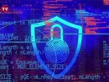 AI创意短视频｜守护向“网”的生活