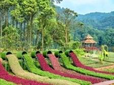 过中秋来从化，吃喝玩乐来这15个景点