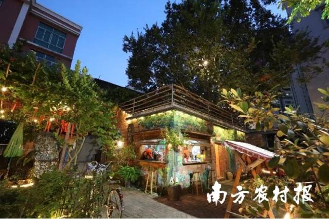 夜晚的花园里。