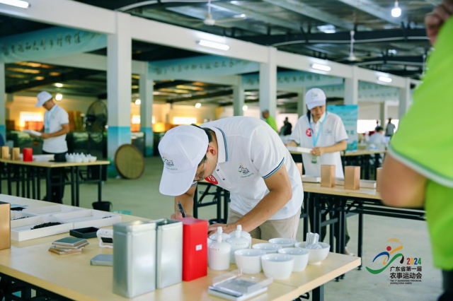 林天晓正在进行茶叶拼配。